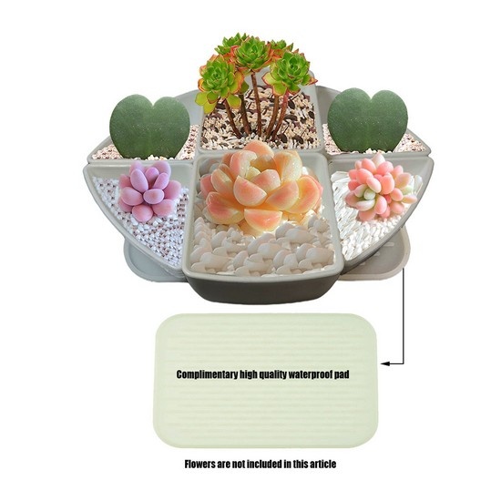Assorted 6 Pcs Succulent Planters Bonsai Display Bud Vase Pots for Plants Containers with Drain Hole for Indoor Windowsill Gardens