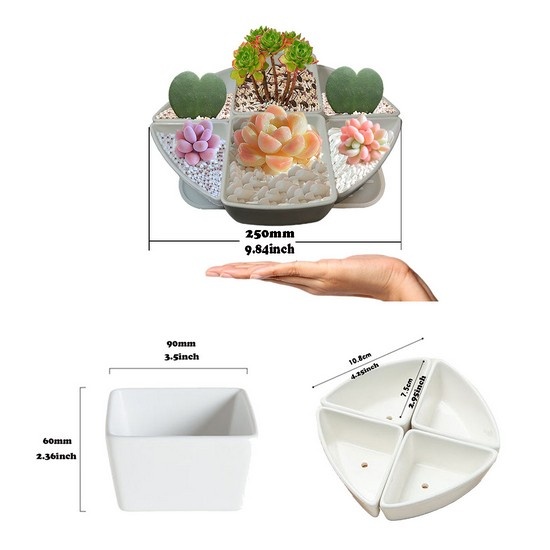 Assorted 6 Pcs Succulent Planters Bonsai Display Bud Vase Pots for Plants Containers with Drain Hole for Indoor Windowsill Gardens